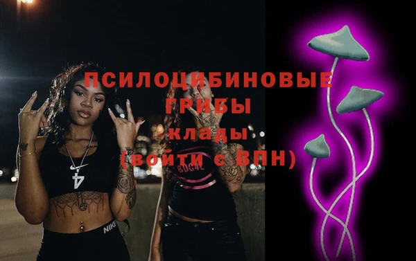 дмт Армянск