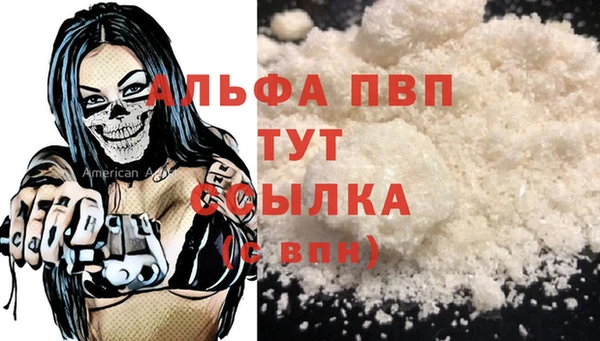 гидра Алексин