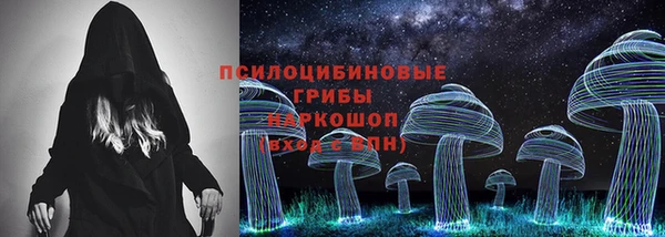 гидра Алексин